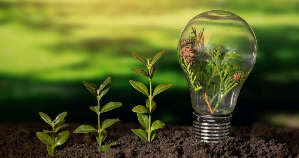 Sustainable Growth Frameworks for Enterprises: Middle East Edition
